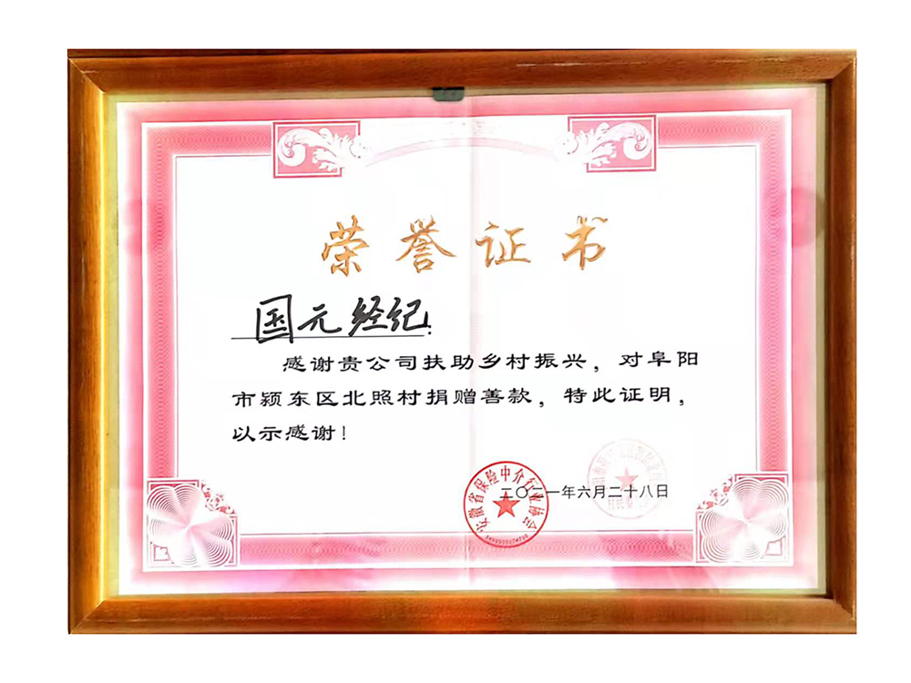 鄉(xiāng)村振興定點(diǎn)幫扶表彰